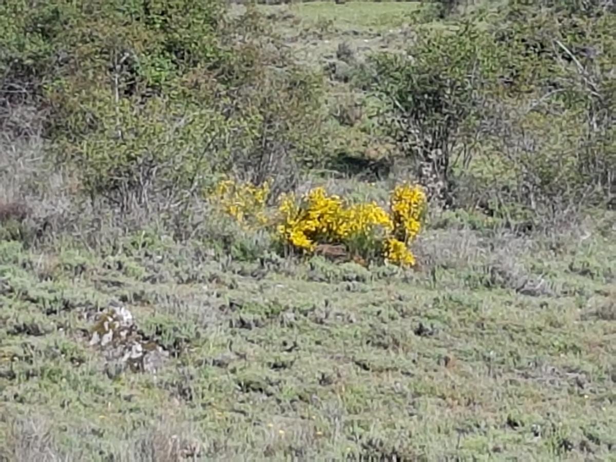 La Posada De Horcajuelo Horcajuelo de la Sierra Luaran gambar