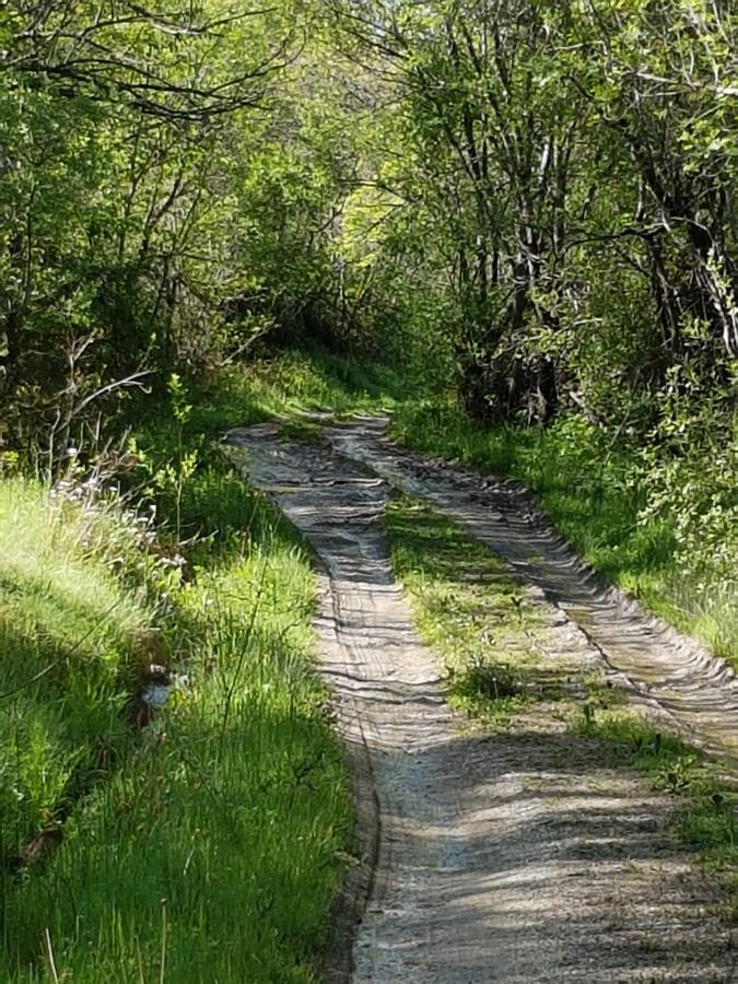 La Posada De Horcajuelo Horcajuelo de la Sierra Luaran gambar
