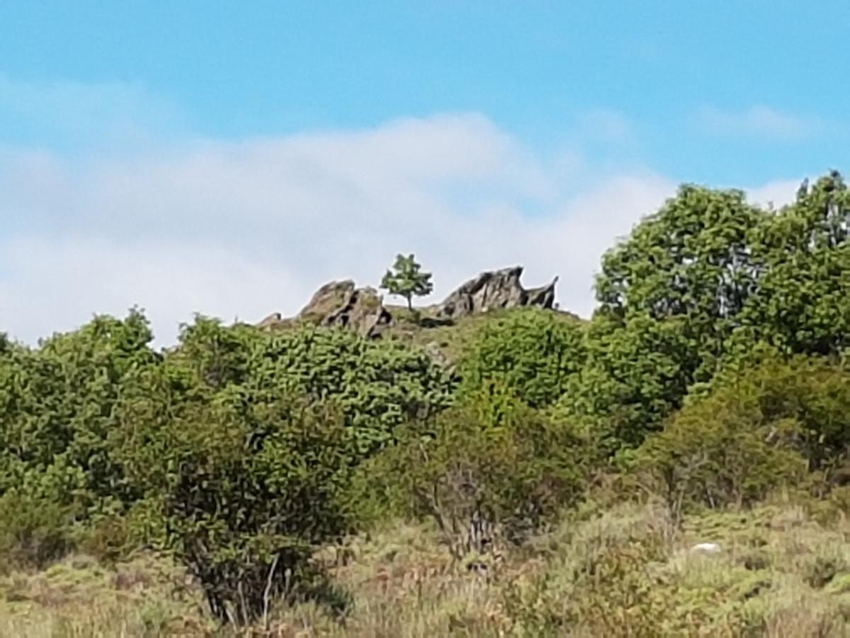 La Posada De Horcajuelo Horcajuelo de la Sierra Luaran gambar