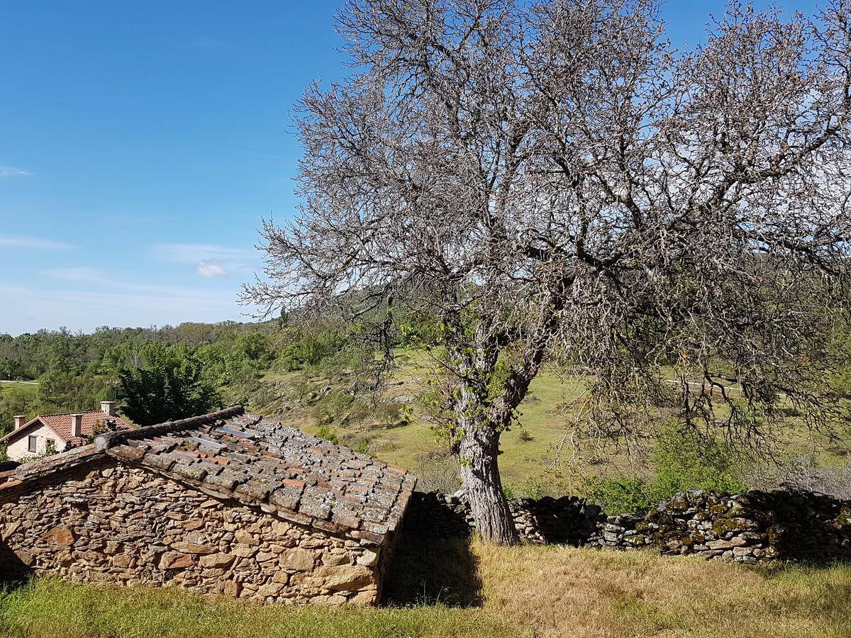 La Posada De Horcajuelo Horcajuelo de la Sierra Luaran gambar