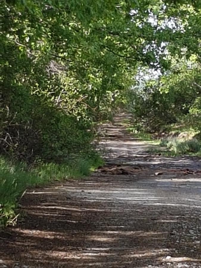 La Posada De Horcajuelo Horcajuelo de la Sierra Luaran gambar