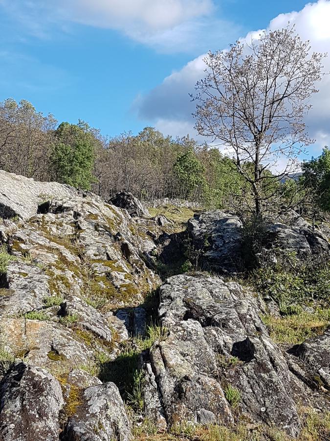 La Posada De Horcajuelo Horcajuelo de la Sierra Luaran gambar